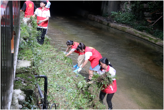 1662429240121230.png 搜狗截图22年09月06日0952_13.png